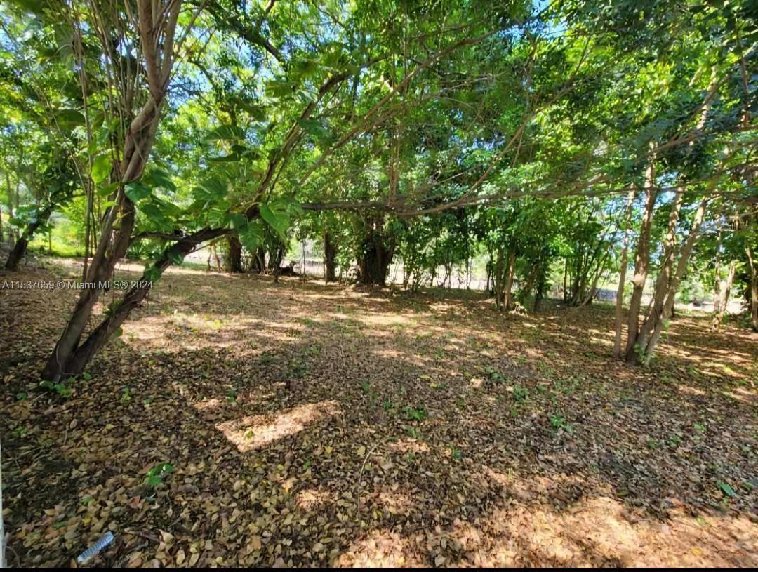 Picture of 7400 Sabal Dr, Miami Lakes FL 33014